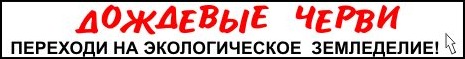 дождевые черви, биогумус, гумистар