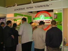 Первые посетители