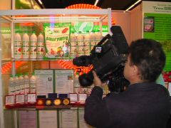 Российское телевидение